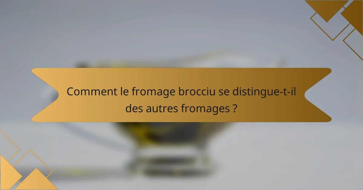 Comment le fromage brocciu se distingue-t-il des autres fromages ?