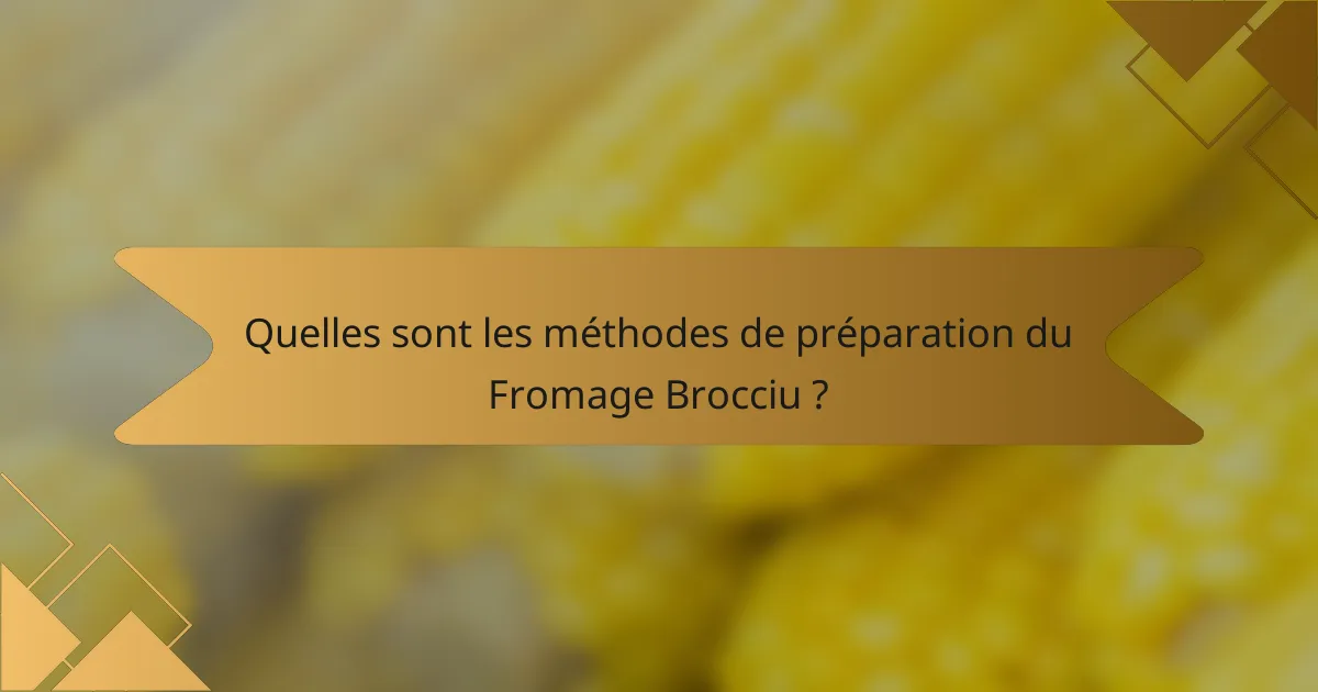 Quelles sont les méthodes de préparation du Fromage Brocciu ?