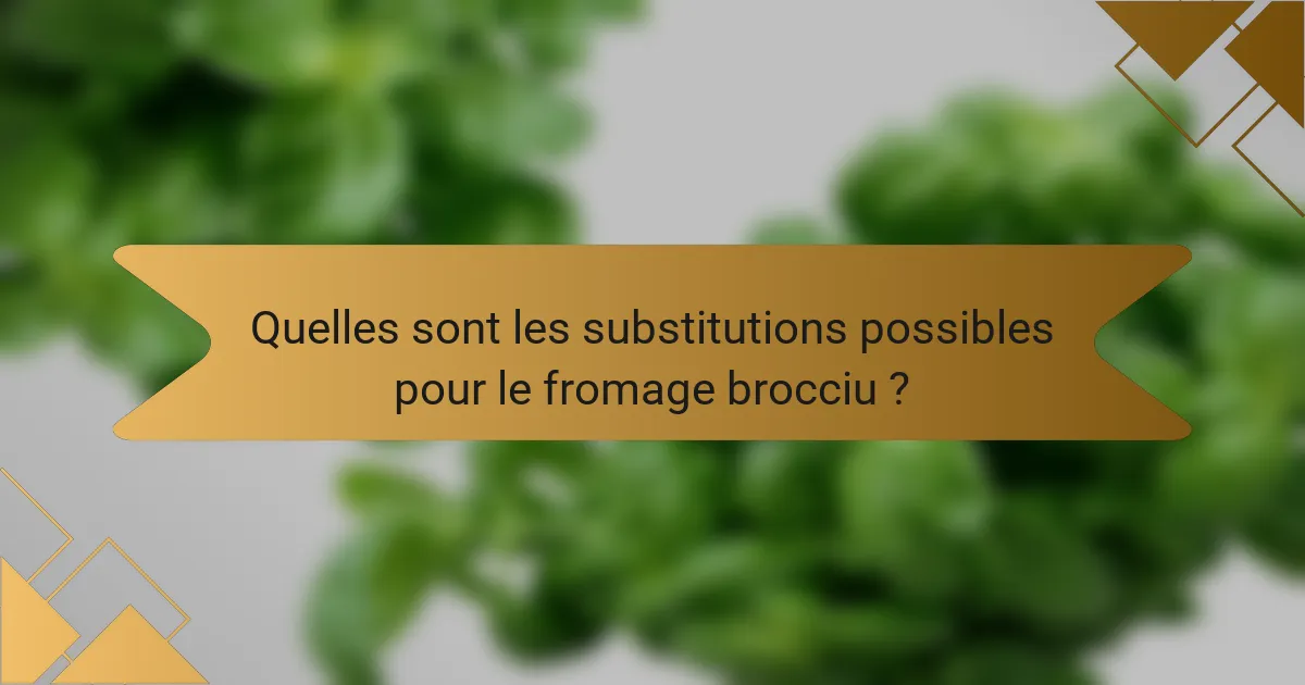 Quelles sont les substitutions possibles pour le fromage brocciu ?