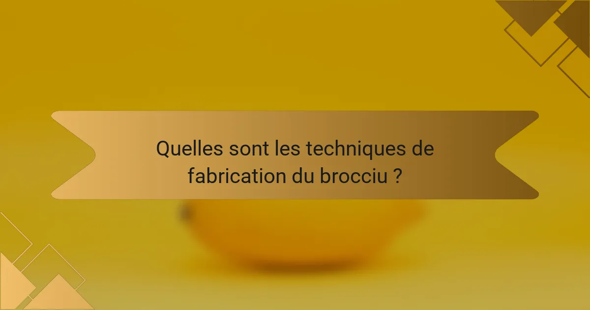 Quelles sont les techniques de fabrication du brocciu ?