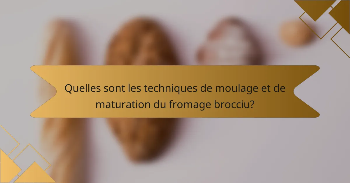 Quelles sont les techniques de moulage et de maturation du fromage brocciu?